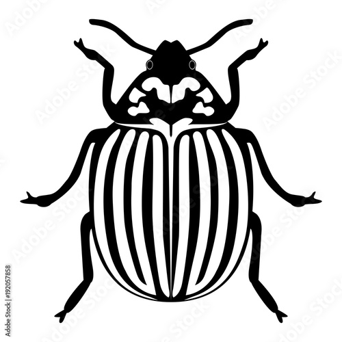 Vector image of the Colorado beetle silhouette on a white background