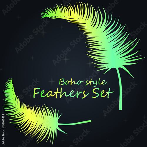 Neon feathers - Boho style.