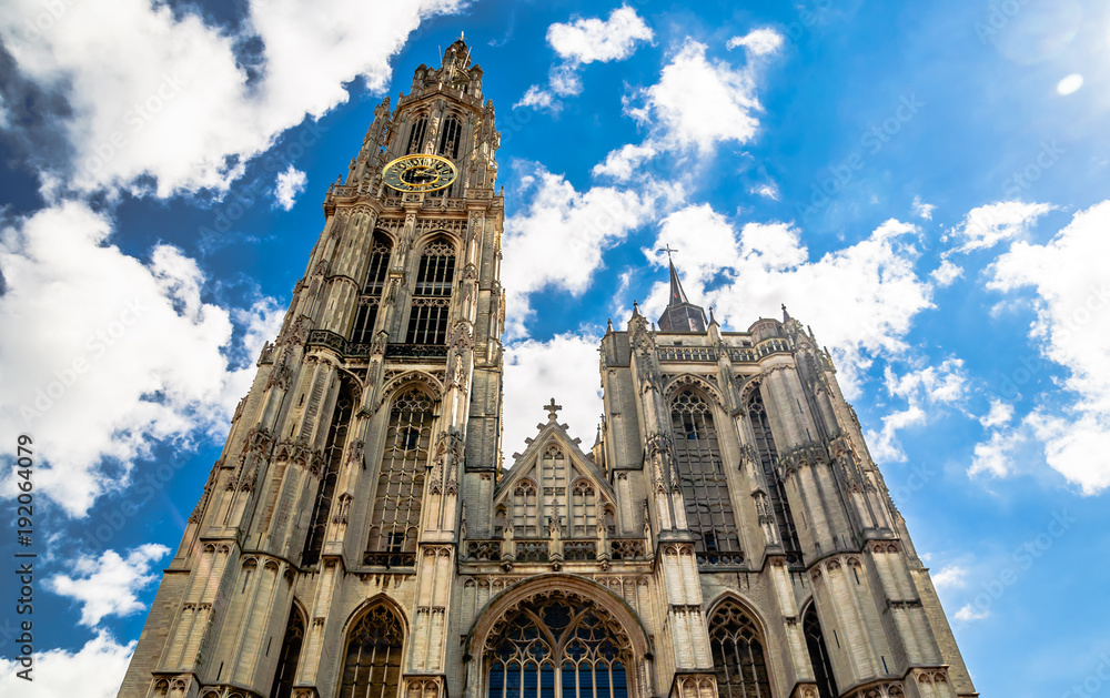 View on cathedral of our lady in Antwerp - Belgium