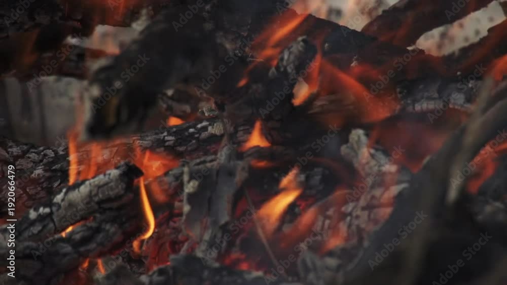 Close up, campfire flames Close up, campfire flames