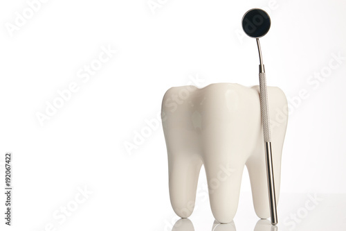 Tooth model and dental mirror. Ceramic tooth and dentist equipment  steel dental mirror tool isolated on white background with copy space  close-up. Dentist stomatology medical concept 