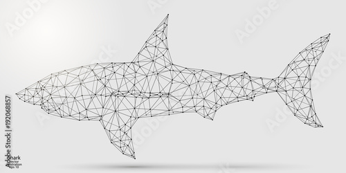 Abstract shark consists of lines and triangles. The illustration is made up of polygons and points, stars in the sky. Vector EPS 10.