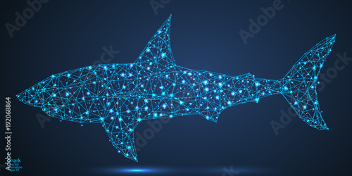 Abstract shark consists of lines and triangles. The illustration is made up of polygons and points, stars in the sky. Vector EPS 10.