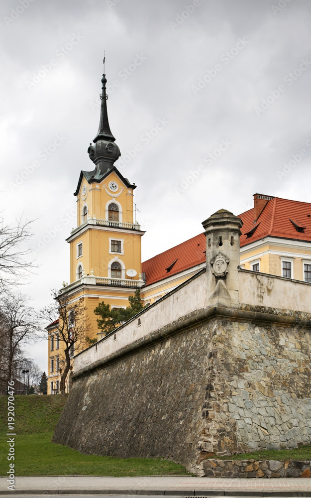 Fototapeta premium Rzeszow castle. Poland
