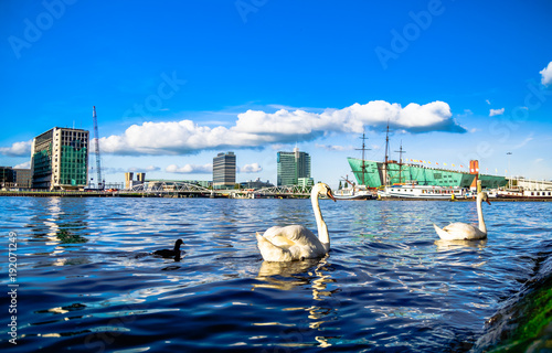 Canvas Print View on harbor and swan in Amsterdam