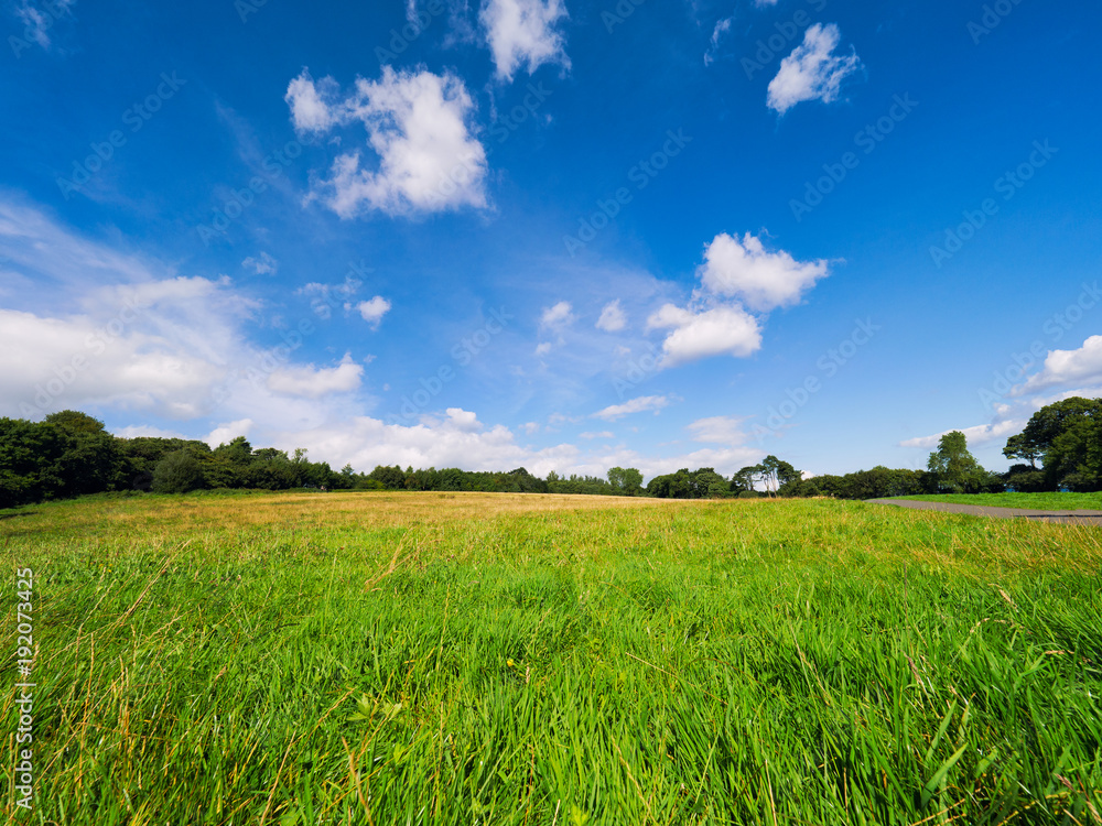 Summer countryside morning,Northern Ireland Summer countryside morning,Northern Ireland