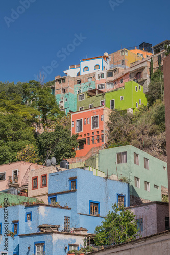 A hillside with blue  green  pink and other colored houses  with green trees and a clear  deep blue sky  in Guanajuato  Mexico