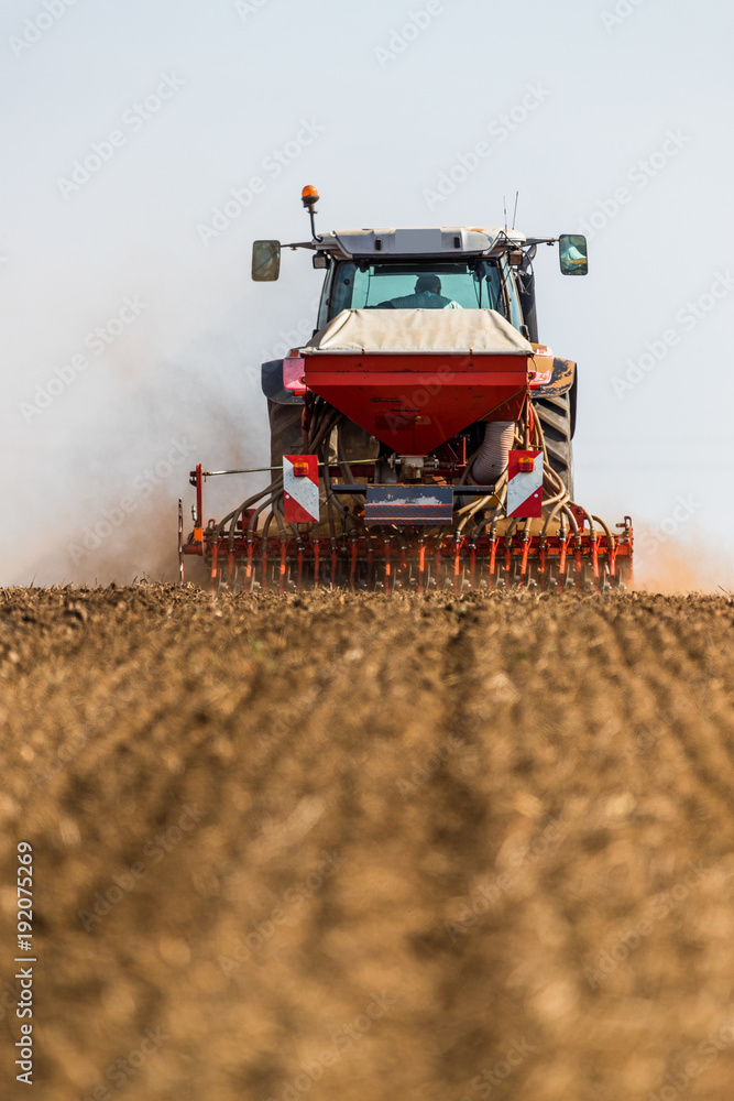 Fototapeta premium Farmer seeding, sowing crops at field. Sowing is the process of planting seeds in the ground as part of the early spring time agricultural activities.