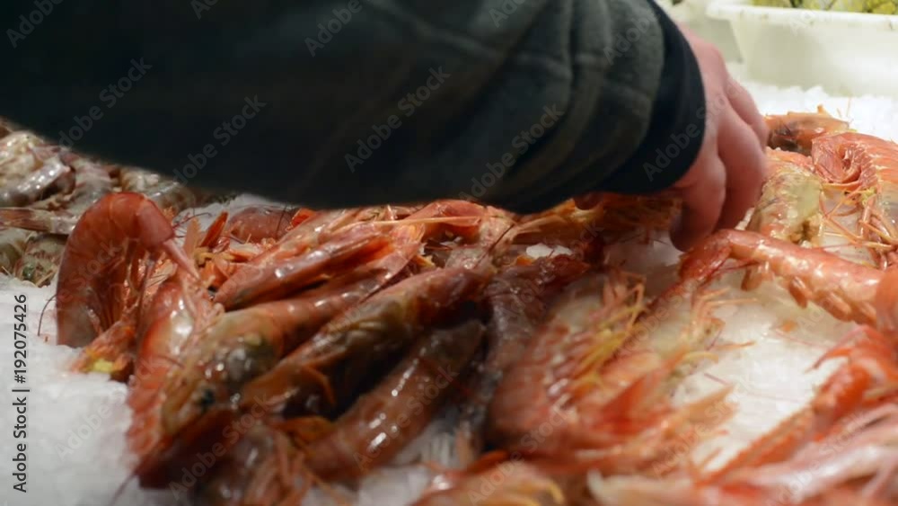 Seller organizes fresh prawns for sale Seller organizes fresh prawns for sale
