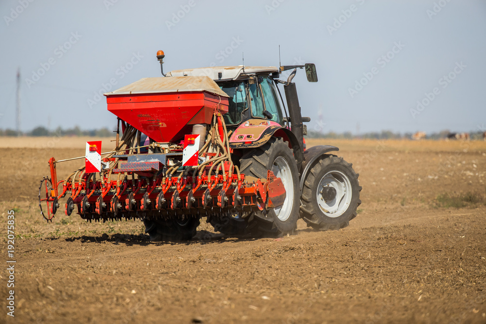 Fototapeta premium Farmer seeding, sowing crops at field. Sowing is the process of planting seeds in the ground as part of the early spring time agricultural activities.