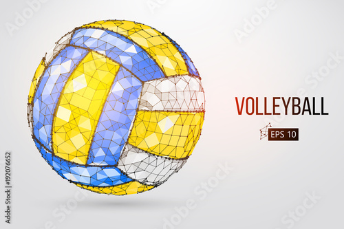 Silhouette of a volleyball ball. Dots, lines, triangles, text, color effects and background on a separate layers, color can be changed in one click. Vector illustration.