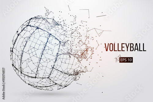 Silhouette of a volleyball ball. Dots, lines, triangles, text, color effects and background on a separate layers, color can be changed in one click. Vector illustration.