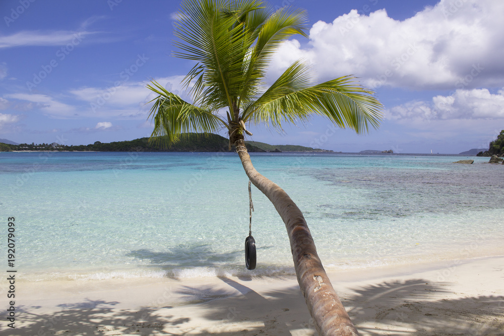 Tire Swing Oppenheimer Bay Saint John USVI Stock Photo Adobe Stock