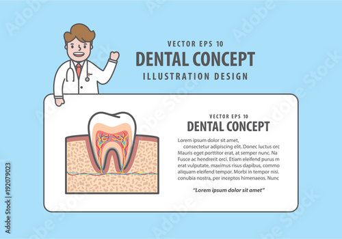 Layout Cross-section tooth  with text box and doctor cartoon style for info or book illustration vector on blue background. Dental concept.
