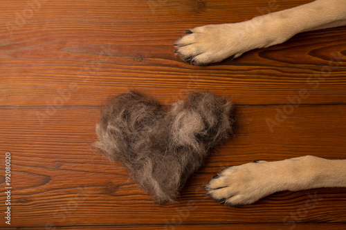 the dog's paws lon the wooden floor background with a heart of d