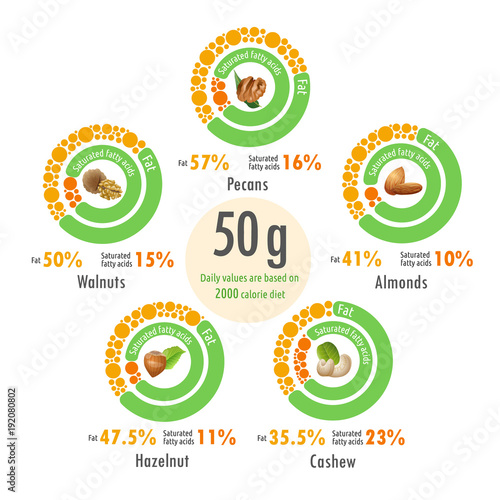 Infographic illustration of value of fats in cashew, walnut, pecan, hazelnut and almonds