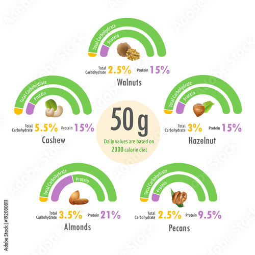 Infographic illustration of value of protein and total carbohydrate in cashew, walnut, pecan, hazelnut and almonds