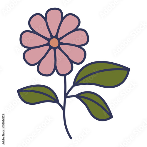 flower and leafs floral decoration vector illustration design