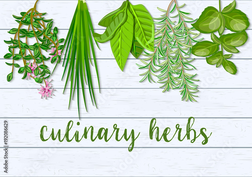 Wooden Scandinavian background of hanging farm fresh culinary hanging herbs. Greenery basil, rosemary, chives, thyme,