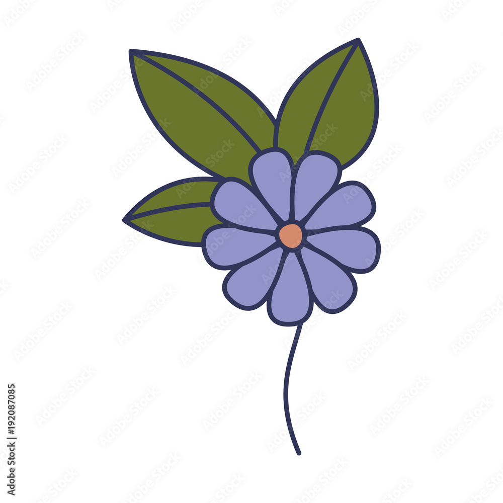 flower and leafs floral decoration vector illustration design flower and leafs floral decoration vector illustration design