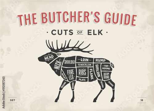 Cut of meat set. Poster Butcher diagram, scheme - Elk. Vintage typographic hand-drawn elk silhouette for butcher shop, restaurant menu, graphic design. Meat theme. Vector Illustration