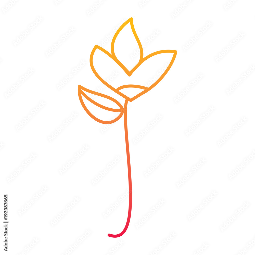 flower natural botanical stem leaves icon vector illustration degraded line color design