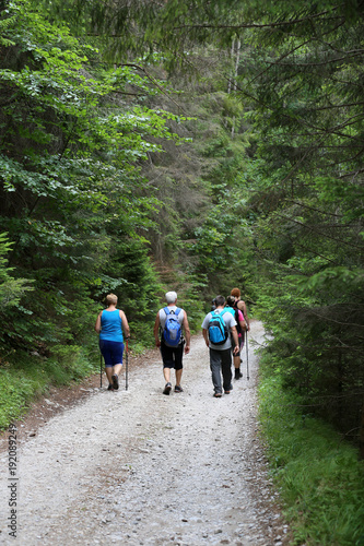 Tourists on holiday walking forest path after the Tatras 
