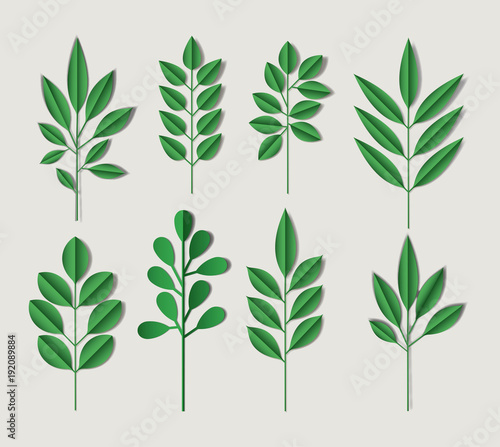 cute leafs set decorative icon vector illustration design
