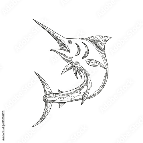Atlantic Blue Marlin Doodle