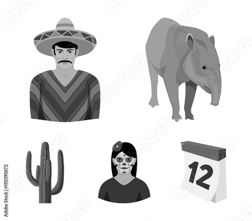 Tapir Mexican animal, a Mexican in national clothes in a poncho, a woman with a flower, a cactus. Mexico country set collection icons in monochrome style vector symbol stock illustration web. photo