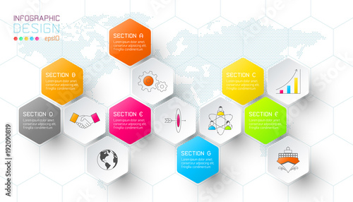Business hexagon net labels shape infographic bar.
