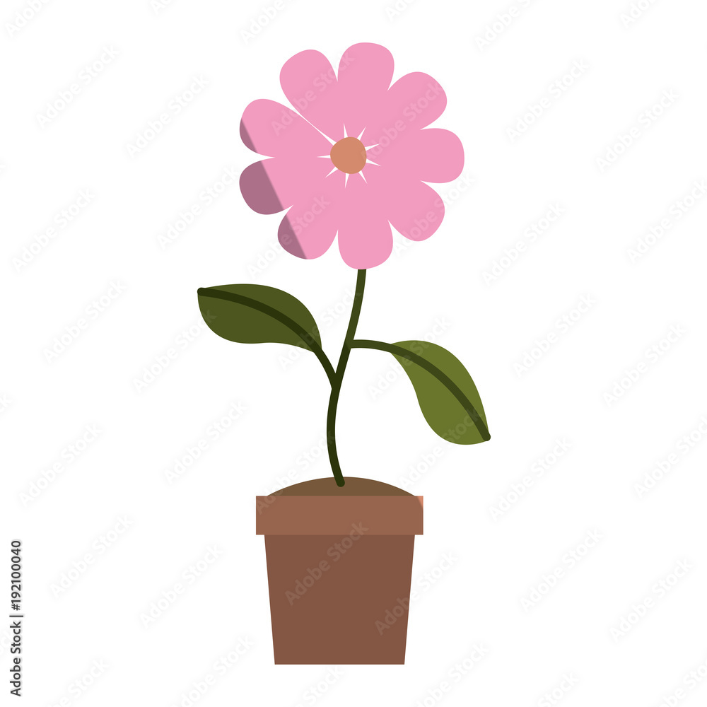 Fototapeta premium flower in pot floral decoration vector illustration design