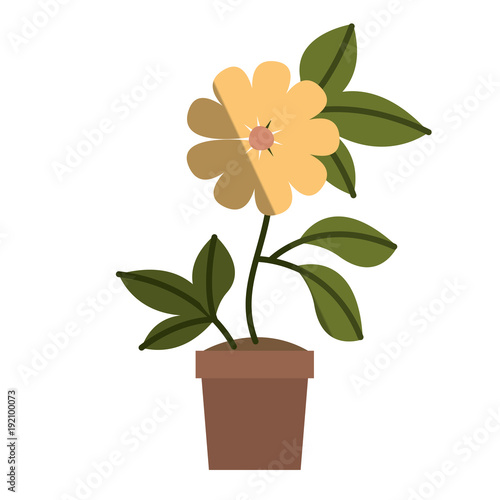 flower in pot floral decoration vector illustration design