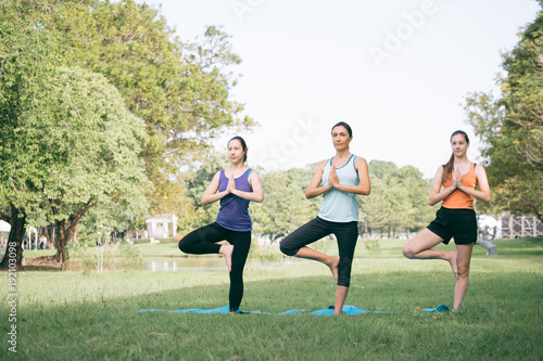 Group of women doing yoga exercises in the park. Concept of healthy lifestyle.