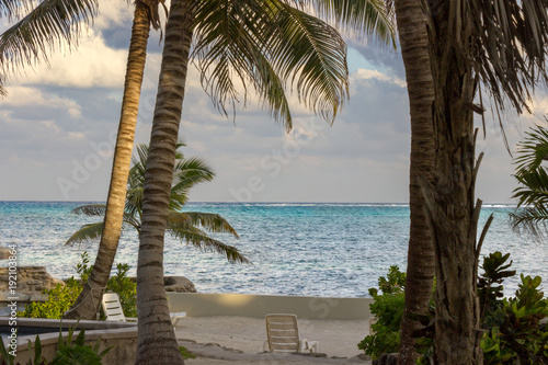 The glittering Caribbean Sea sets a stunning backdrop to palm trees and foliage on the shore of Ambergris Caye, Belize. photo