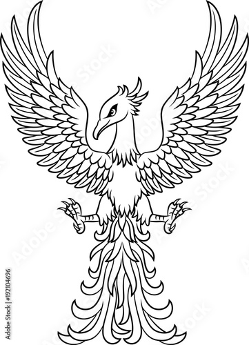 Phoenix bird tattoo isolated on white background