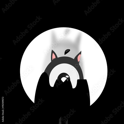 Fledermaus