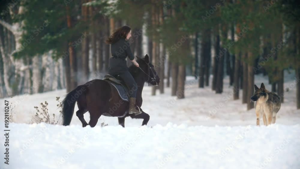 Attractive young woman riding a black horse through the snow in the forest Attractive young woman riding a black horse through the snow in the forest