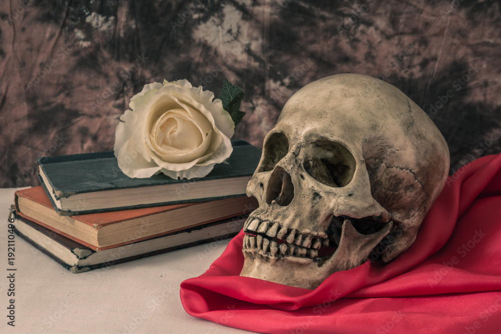 Still life with a human skull with a fake white rose Still life with a human skull with a fake white rose