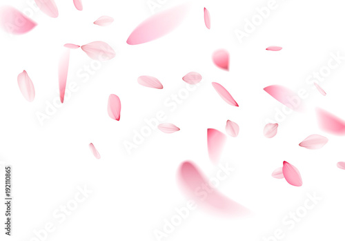 ベクター、風に舞う桜