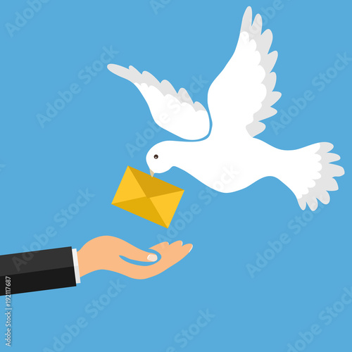 The mail pigeon brings a letter. Golub brought the letter into the man's hand. The concept of receiving mail.