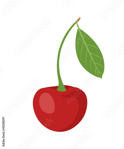 Cherry berry with leaf isolated on white background. Vector illustration.