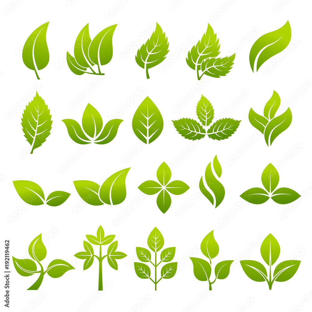 Illustrations of stylized plants to design logos Illustrations of stylized plants to design logos