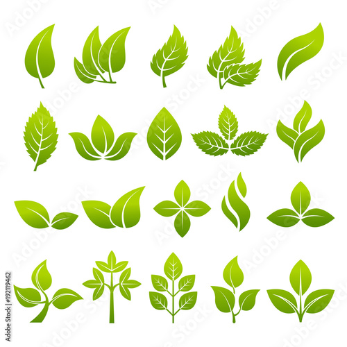 Illustrations of stylized plants to design logos