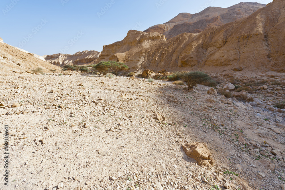 Stone desert in Israel Stone desert in Israel
