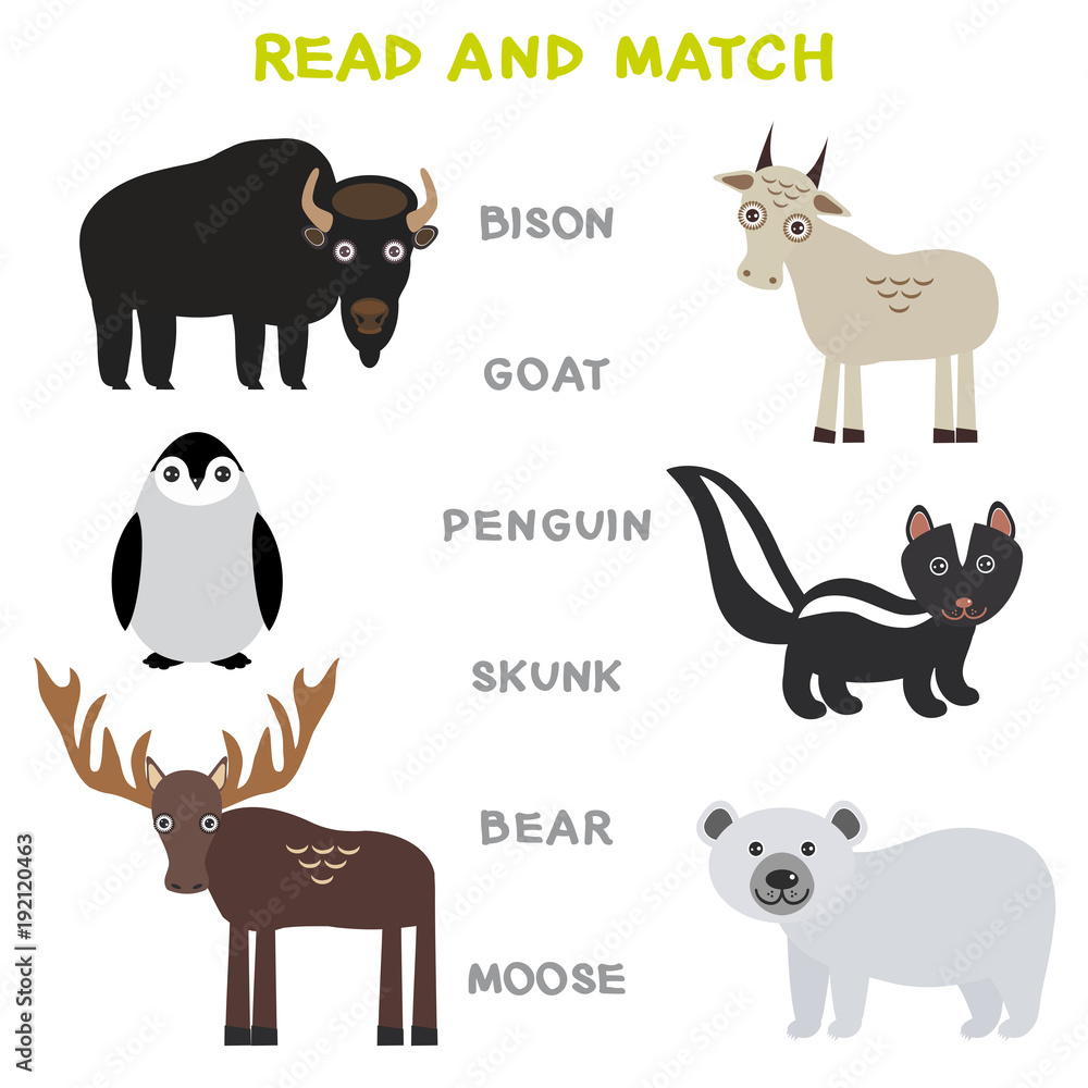 Kids words learning game worksheet read and match. Funny animals Bison Goat Skunk Polar Bear Moose Penguin Educational Game for Preschool Children Picture puzzle. Vector