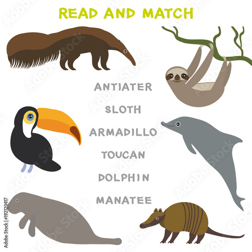 Kids words learning game worksheet read and match. Funny animals Armadillo Anteater Sloth Toucan Dolphin Manatee Educational Game for Preschool Children Picture puzzle. Vector