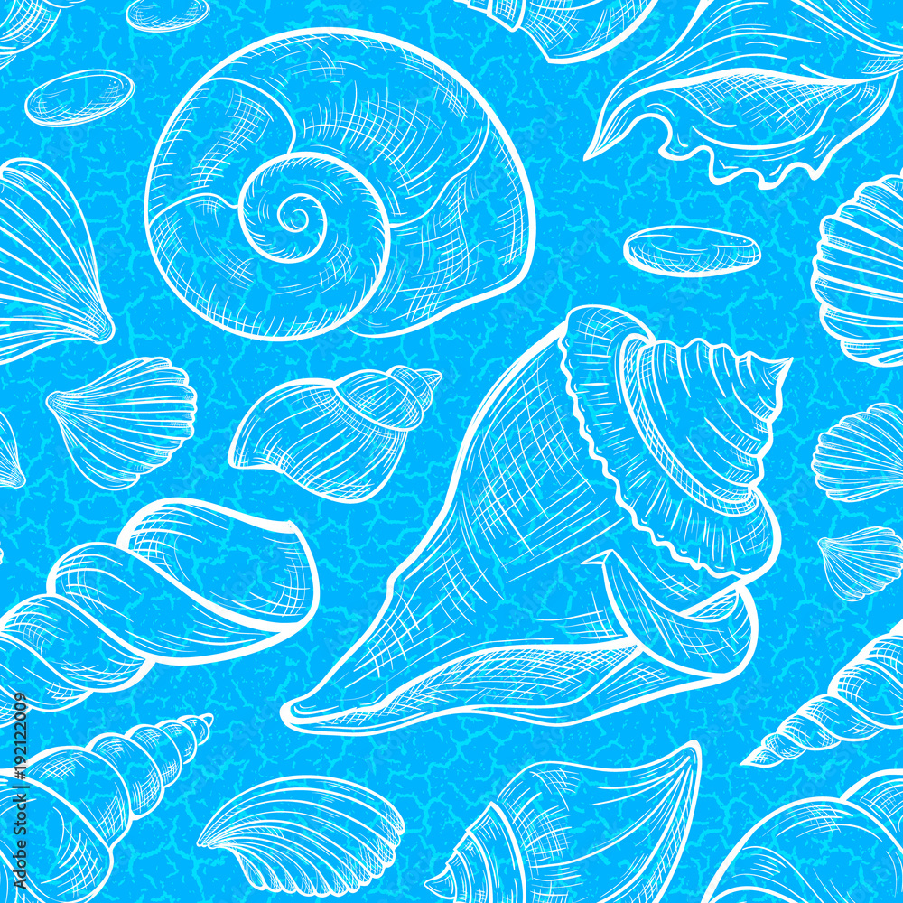 Seashells vector seamless pattern