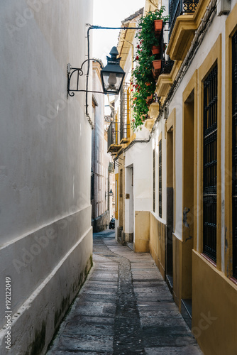 Obraz na plátně Old typical street in the jewry of Cordoba