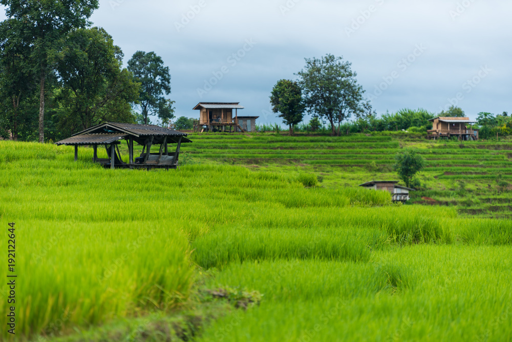 Terraced rice fields at Pa pong Pieng in Chiang Mai, Thailand Terraced rice fields at Pa pong Pieng in Chiang Mai, Thailand
